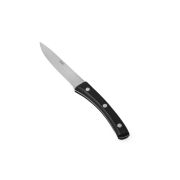 Abert (Италия) Нож для стейка 120/229 мм. 18/10  1,8 мм. ручка пластик, лезвие зубчатое Ангус Abert /1/12/ АКЦИЯ