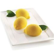 Форма силиконовая ЛИМОН серая 85х59мм, h42мм, 6х106мл LIMONE