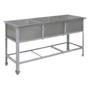 ВАННА МОЕЧНАЯ ТРОЙНАЯ ВМ-41/456