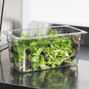 Гастроемкости поликарбонат (Китай) Гастроемкость 1/3 h=150 мм. 325*176 мм. 5,5 л. поликарб. прозрач. /1/24/