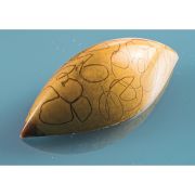 Форма д/шок. конфет 54х24мм h16мм, 9 гр., 21 ячейка, п/к MA1012